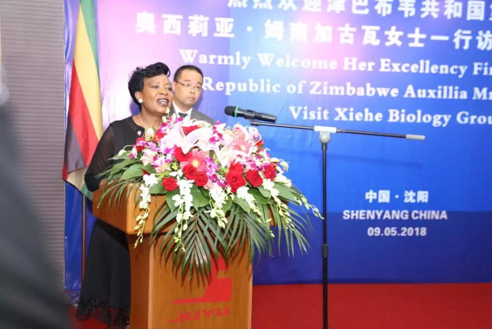 奥西莉亚·姆南加古瓦女士在凯发K8旗舰厅举行的欢迎座谈会上致辞