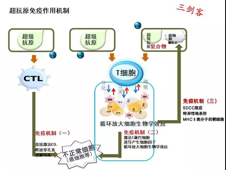 65a1b3de91181462c6bc24e9bc61bfa8.jpg 65a1b3de91181462c6bc24e9bc61bfa8.jpg